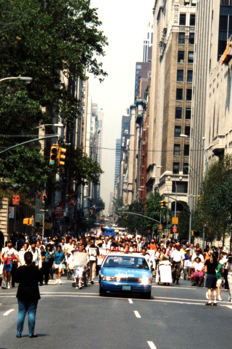 A huge crowd of protesters fill the street, which is lined with tall buildings and trees.