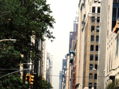 A huge crowd of protesters fill the street, which is lined with tall buildings and trees.